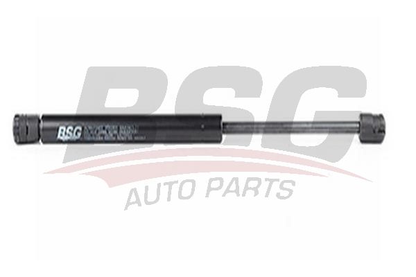 BSG 16980001 Bagaj Amortisörü - 1. Görsel