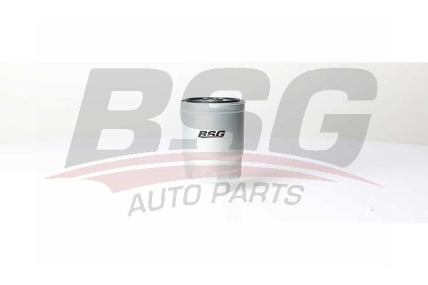 BSG 40130016 Yakıt Filtresi