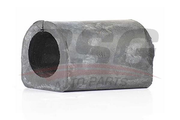 BSG 60700020 Viraj Demir Lastiği Arka