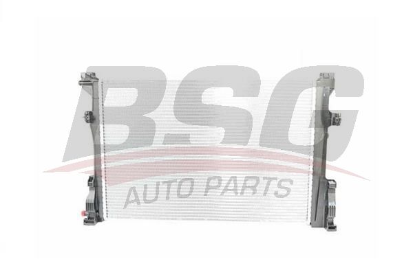BSG 60520041 Su Radyatörü
