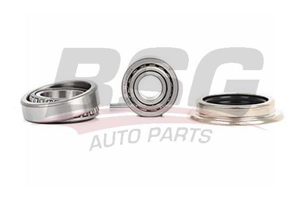 BSG 30600004 Porya Rulmanı Ön - . Görsel