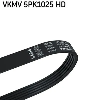 CONTITECH 5PK1025 Klıma Kayısı