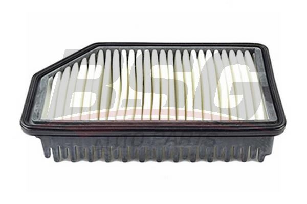 BSG 40135022 Hava Filtresi