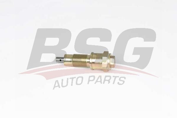 BSG 60109026 Eksantrik Zincir Gergisi