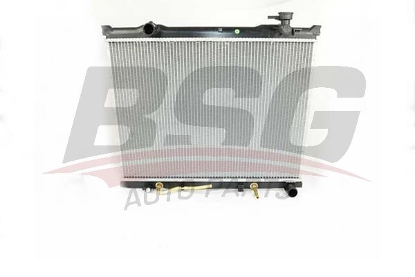 BSG 40520057 Su Radyatörü