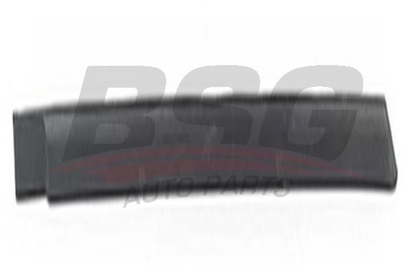 BSG 65925037 Kapı Bandı Arka Sol