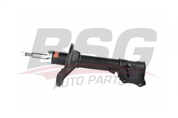BSG 40300038 Amortisör Arka Sağ