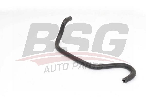 BSG 65720167 Termostat Hortumu