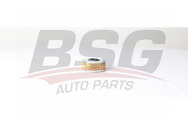 BSG 75130009 Yakıt Filtresi