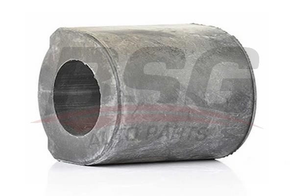 BSG 60700052 Viraj Demir Lastiği Arka