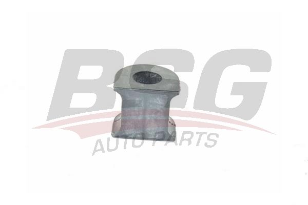 BSG 90700103 Viraj Demir Lastiği Ön