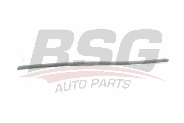 BSG 30924064 Kapı Bandı Ön Sol