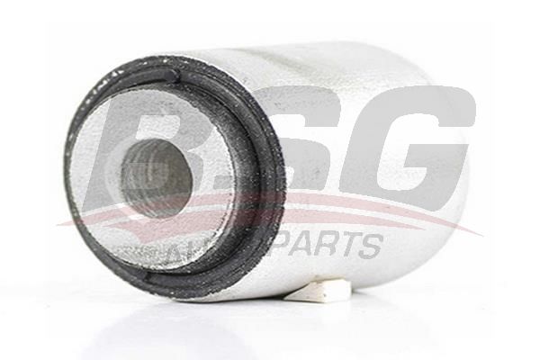BSG 60700133 Salıncak Burcu Arka