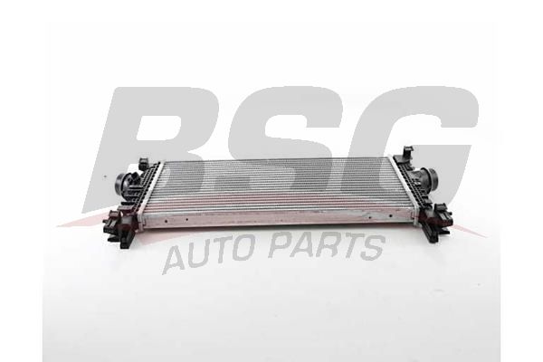 BSG 65535015 Turbo Radyatörü