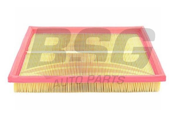 BSG 65135007 Hava Filtresi - . Görsel
