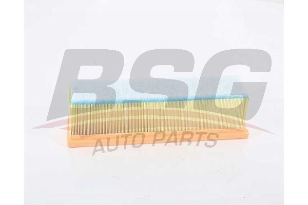 BSG 60135024 Hava Filtresi - . Görsel