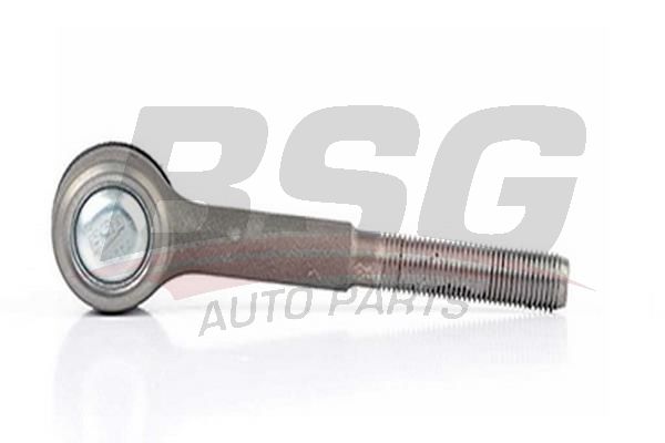 BSG 60310075 Rot Başı Sol