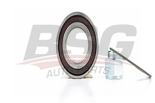 BSG 70605003 Porya Rulmanı Ön