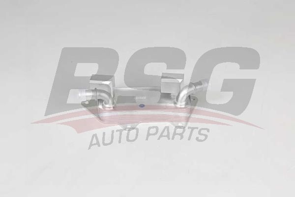 BSG 15506029 Yağ Soğutucusu