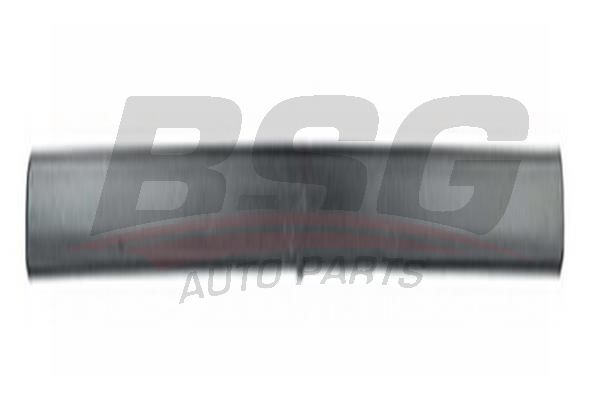 BSG 65925014 Kapı Bandı Ön Sağ