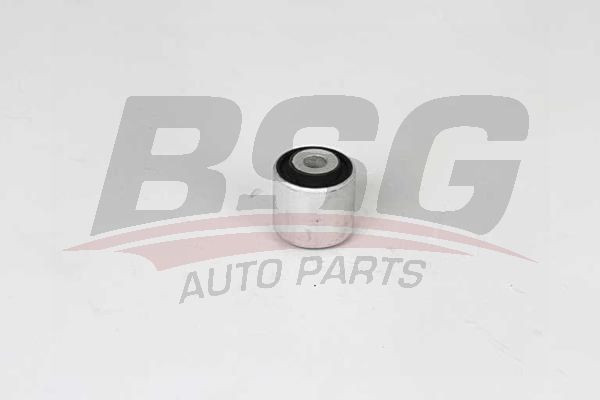 BSG 90700207 Salıncak Burcu
