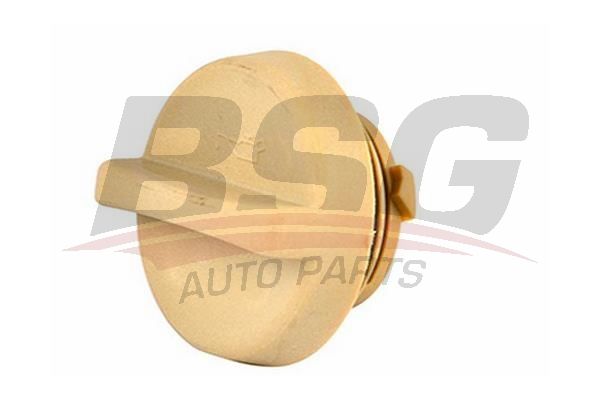BSG 65700199 Motor Yağ Kapağı