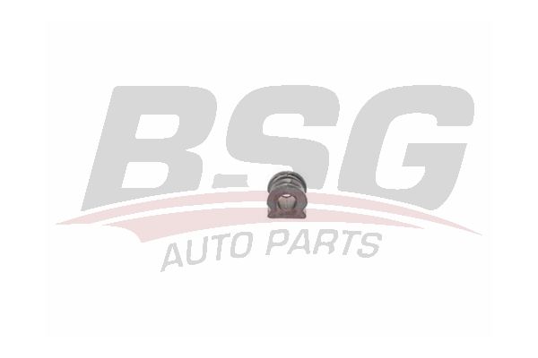 BSG 90700169 Viraj Demir Lastiği Ön