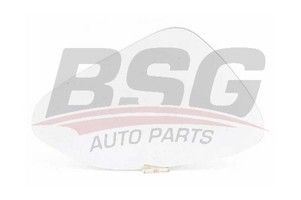 BSG 65910036 Ayna Camı Sağ