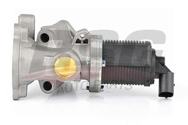 BSG 65836008 Egr Valfi