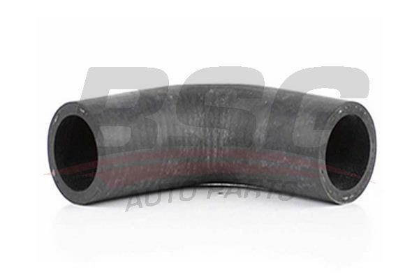 BSG 65720108 Motor Havalandırma Hortumu