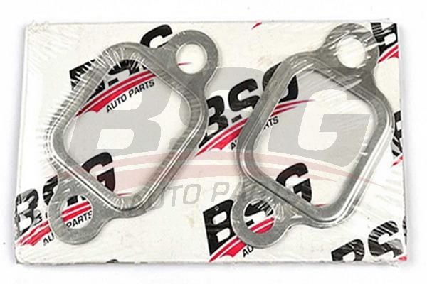BSG 30116049 Manifold Contası Egzos