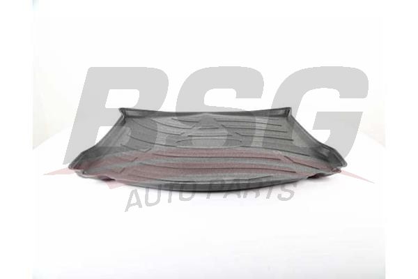 BSG 30935037 Bagaj Havuzu
