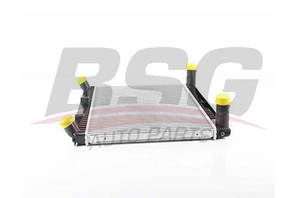 BSG 15535024 Turbo Radyatörü