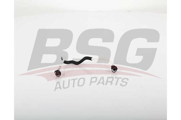 BSG 60725004 Yakıt Hortumu