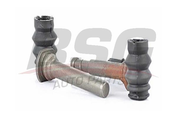 BSG 30251005 Kaliper Burç Takımı Arka