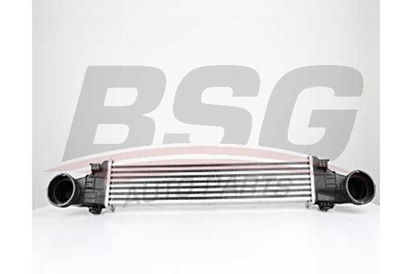 BSG 60535011 Turbo Radyatörü - . Görsel