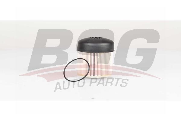 BSG 75130013 Yakıt Filtresi