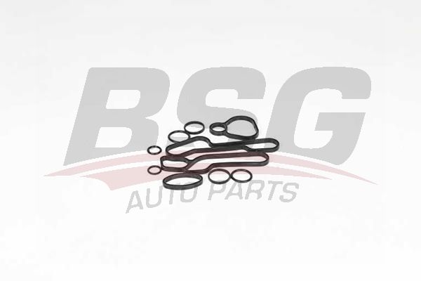 BSG 65116001 Yağ Soğutucu Contası