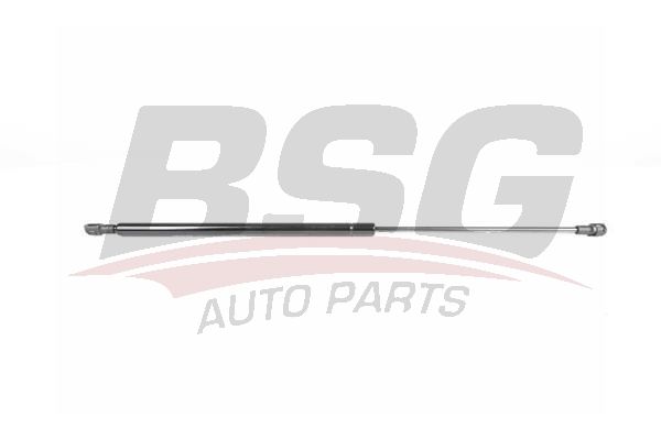 BSG 65980035 Bagaj Amortisörü