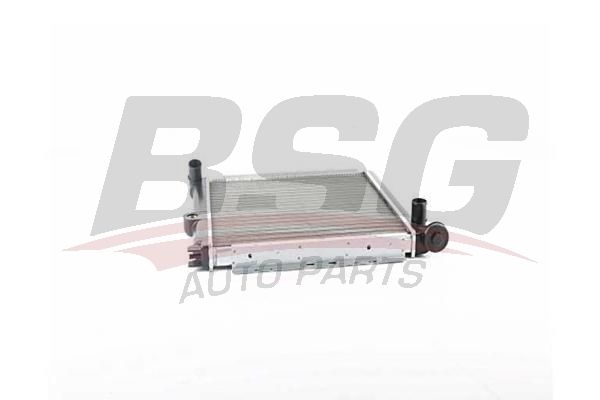 BSG 75520014 Su Radyatörü