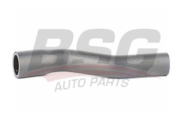 BSG 65720134 Motor Havalandırma Hortumu