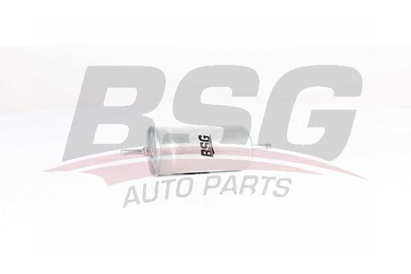BSG 90130015 Yakıt Filtresi