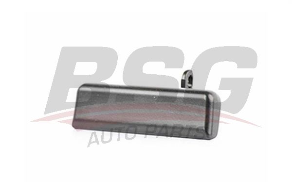 BSG 30970033 Kapı Dış Açma Kolu Arka