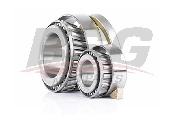 BSG 60600009 Porya Rulmanı Ön