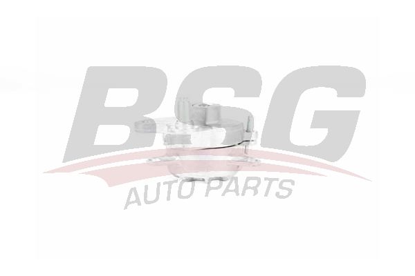 BSG 60615027 V Kayış Gergisi Komple