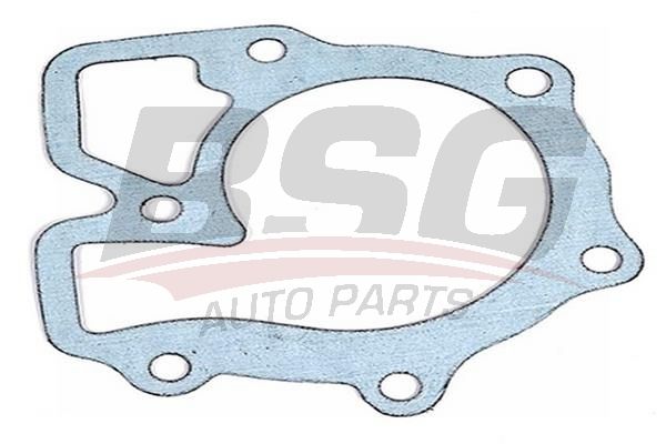 BSG 30116019 Devirdaim Contası