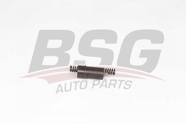 BSG 60109016 Eksantrik Zincir Gergisi