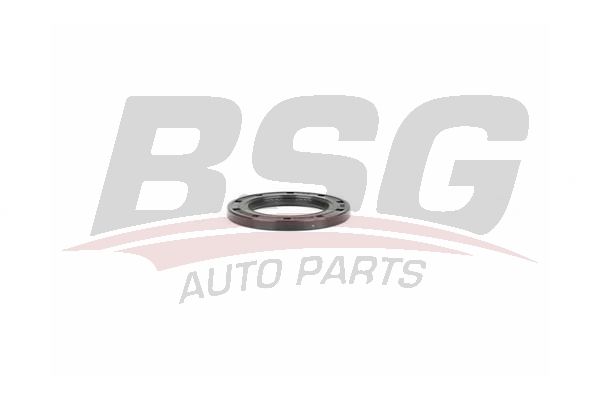 BSG 30116145 Şanzıman Keçesi