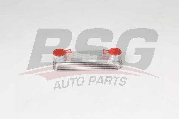 BSG 15506036 Yağ Soğutucusu