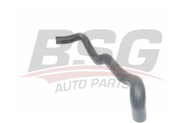 BSG 75720030 Radyatör Hortumu Alt - . Görsel